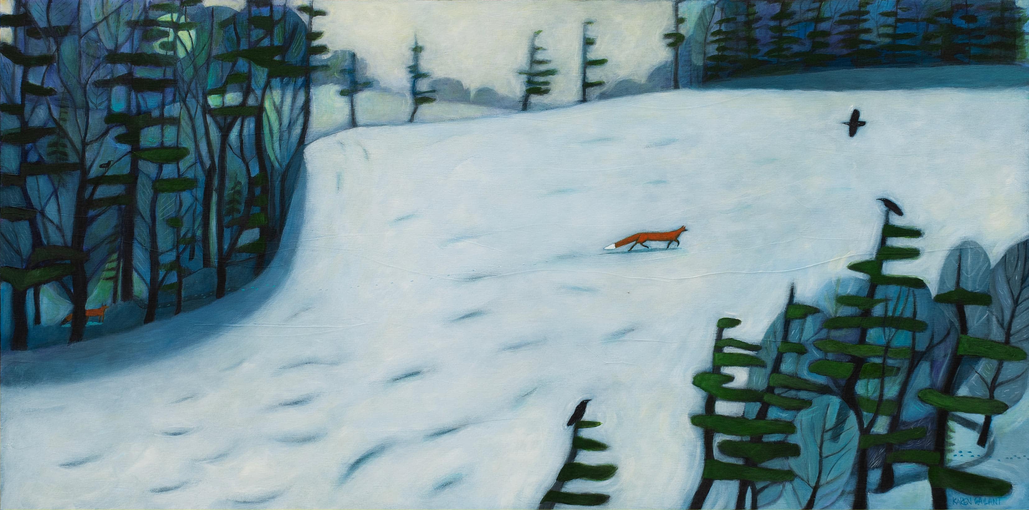 Fox in winter crossing back field